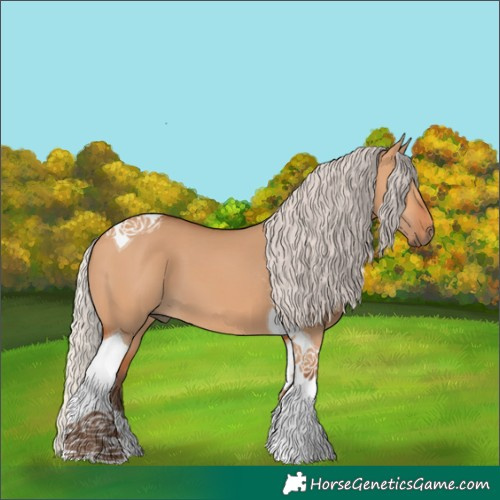 Horse Color:Silver Bay Dun Tobiano 