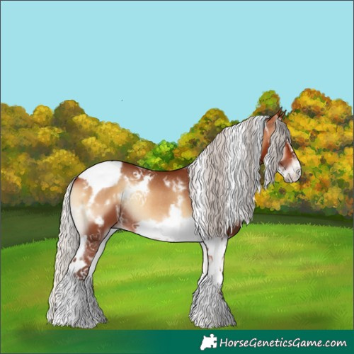 Horse Color:White Spotted Silver Bay Onyx Tobiano Frame Rabicano 