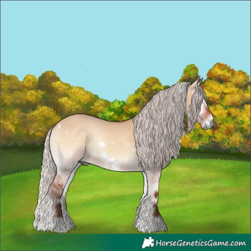 Horse Color:White Spotted Silver Bay Onyx 