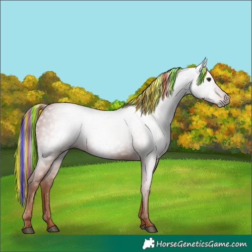 Horse Color:Gray Painted Chestnut 