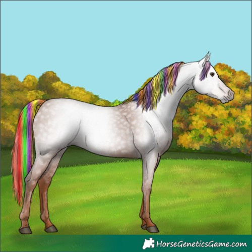 Horse Color:Gray Painted Chestnut 