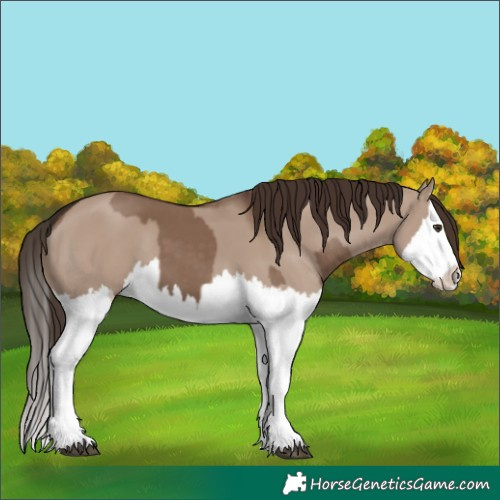 Horse Color:Liver Red Dun Splash  and Liver Red Dun Splash 