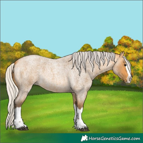 Horse Color:Silver Buckskin Roan Splash