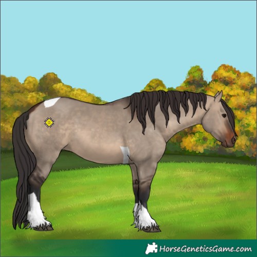 Horse Color:Brown Dun Tobiano 
