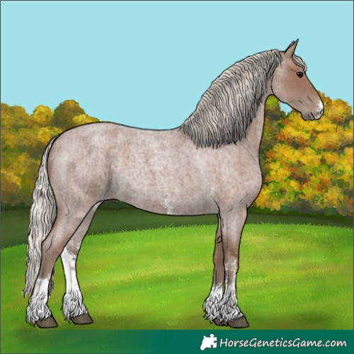 Horse Color:Silver Blue Roan Sabino 