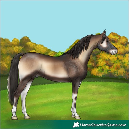 Horse Color:Liver Red Onyx 
