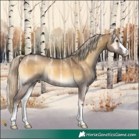 Horse Color:Chocolate Palomino Ice Onyx 