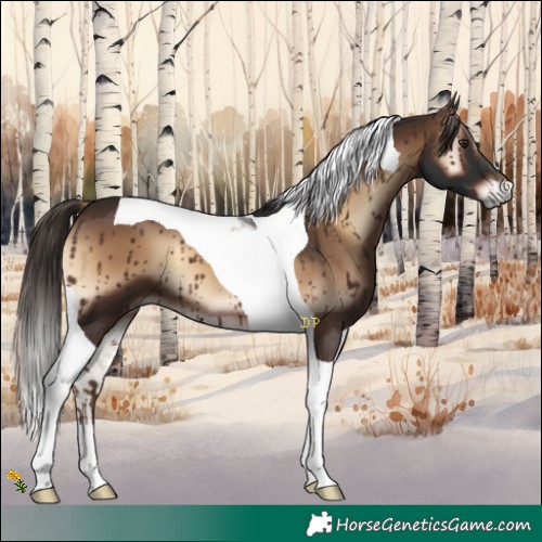 Horse Color:Liver Red Onyx Tobiano