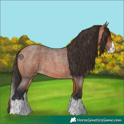 Horse Color:Unknown 