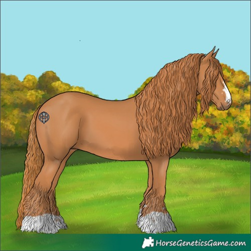 Horse Color:Unknown 