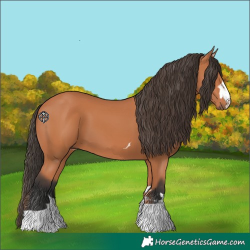 Horse Color:Unknown 