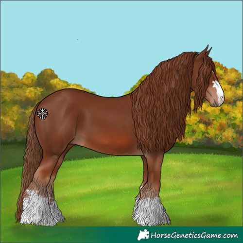 Horse Color:Unknown 