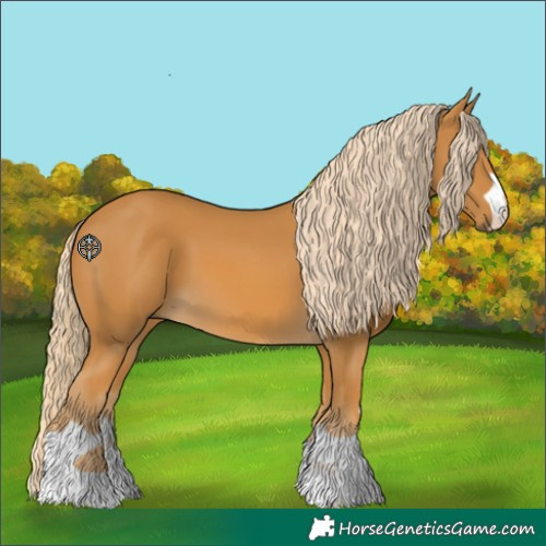 Horse Color:Unknown 