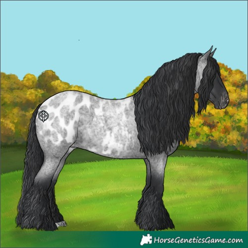 Horse Color:Unknown 