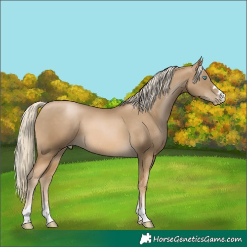Horse Color:Chocolate Palomino Pearl Mushroom 