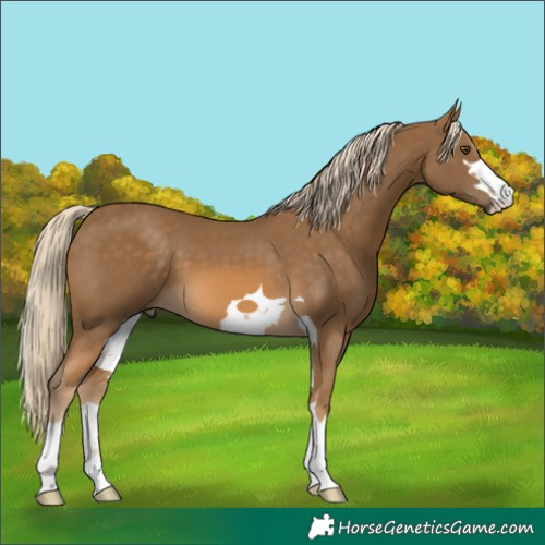 Horse Color:Chocolate Palomino Mushroom 