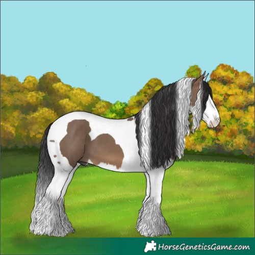 Horse Color:White Spotted Brown Dun Splash Tobiano 