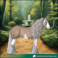 Horse Color:White Spotted Silver Grullo Splash Rabicano 