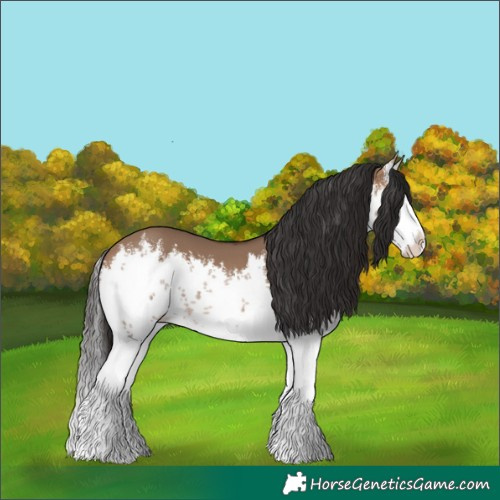 Horse Color:White Spotted Brown Dun Splash 