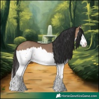 Horse Color:White Spotted Brown Dun Splash 