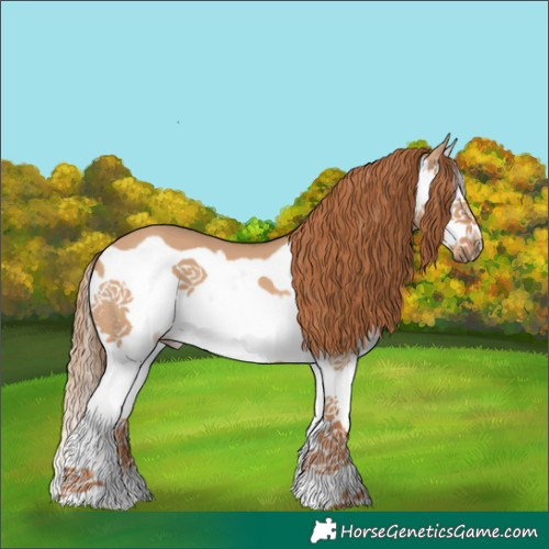 Horse Color:Red Dun Splash Frame 
