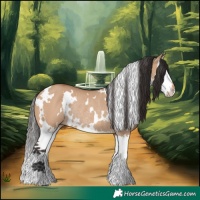 Horse Color:White Spotted Bay Dun Splash Rabicano 