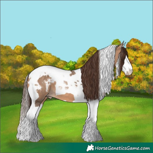 Horse Color:White Spotted Bay Dun Splash Tobiano Varnish 