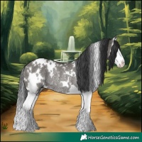 Horse Color:White Spotted Grullo Splash Rabicano