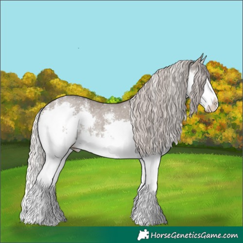 Horse Color:Silver Grullo Sabino Splash Rabicano 