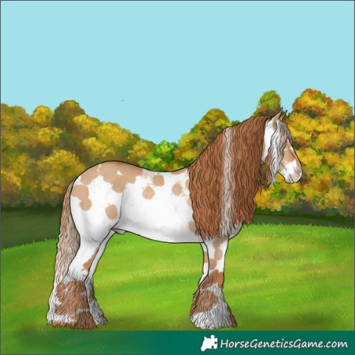 Horse Color:White Spotted Red Dun Sabino Splash Rabicano 