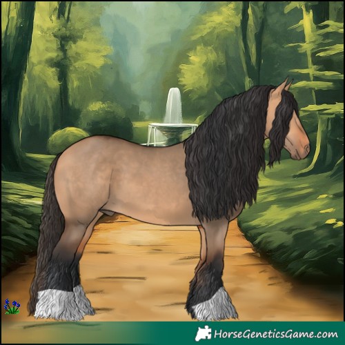 Horse Color:Bay Dun 