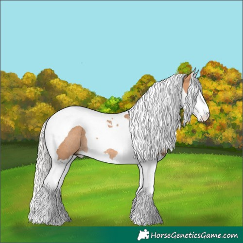 Horse Color:Silver Bay Dun Splash Tobiano Rabicano 