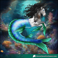 Horse Color:Gray Brown Splash Tobiano Rabicano 