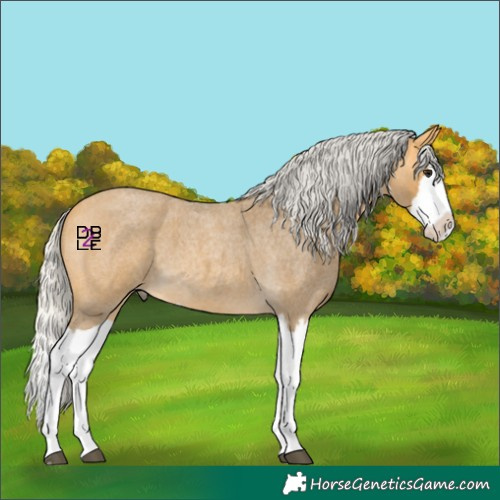 Horse Color:Silver Buckskin Roan Splash 