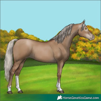 Horse Color:Gray Silver Grullo Pearl Tobiano 