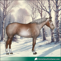 Horse Color:Gray Silver Black Pearl Tobiano 