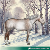 Horse Color:Gray Silver Black Pearl Tobiano 