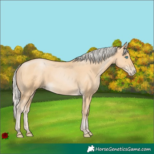 Horse Color:Silver Buckskin Pearl 
