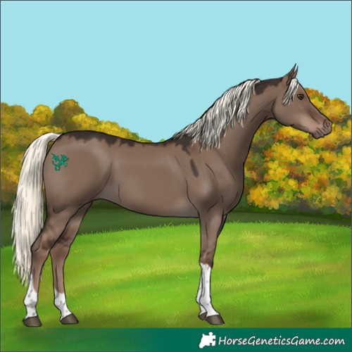 Horse Color:Liver Red Dun Mushroom Tobiano 