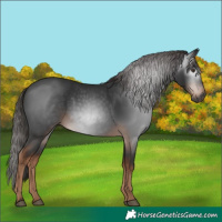 Horse Color:Gray White Spotted Liver Chestnut