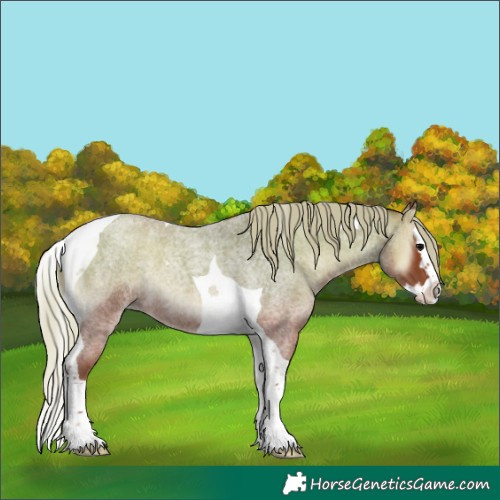 Horse Color:Silver Blue Onyx Roan Splash Tobiano 