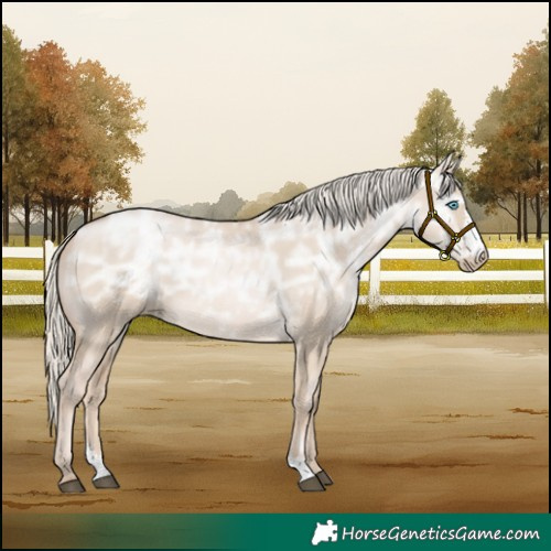 Horse Color:Chocolate Palomino Ice Pearl Dun Sabino 