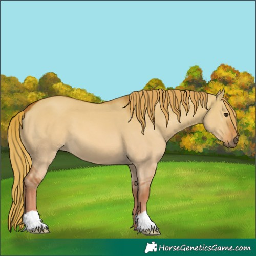 Horse Color:Red Dun
