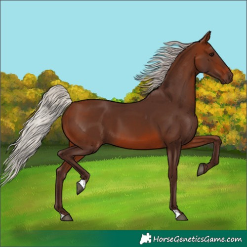 Horse Color:Silver Brown 