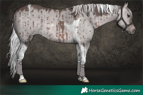 Horse Color:Platinum Silver Brown Dun Tobiano Brindle 