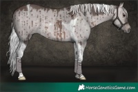 Horse Color:Platinum Silver Brown Dun Tobiano Brindle 