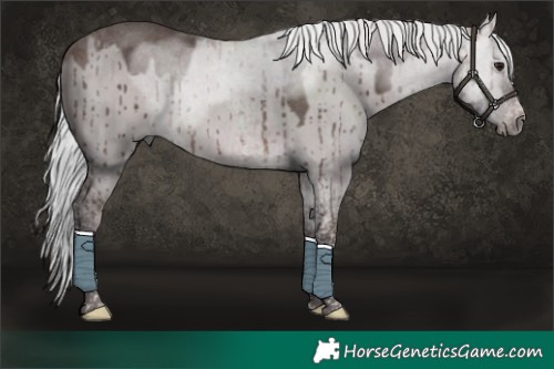 Horse Color:Platinum Silver Bay Dun Tobiano Brindle 