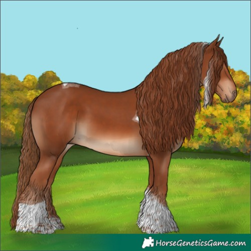 Horse Color:Chestnut Tobiano 