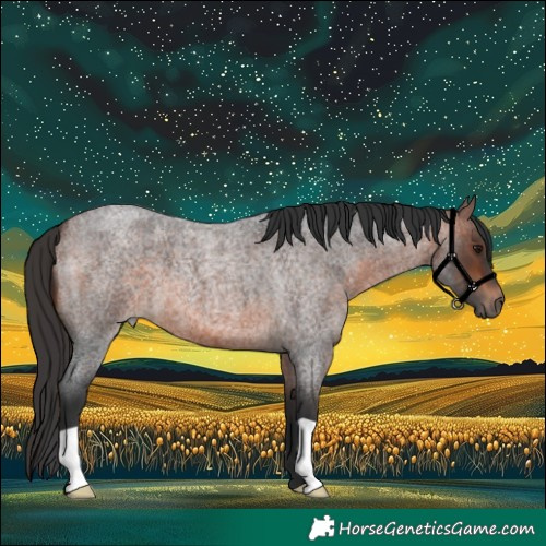 Horse Color:Brown Roan