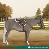Horse Color:Silver Smoky Black 